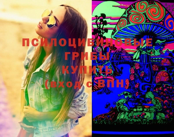 2c-b Белокуриха