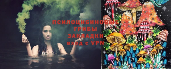 2c-b Белокуриха