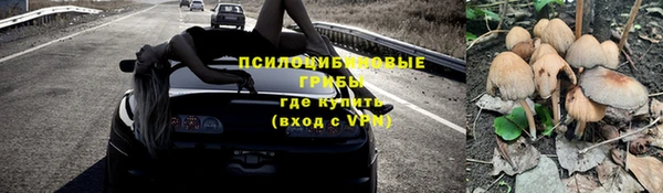 2c-b Белокуриха