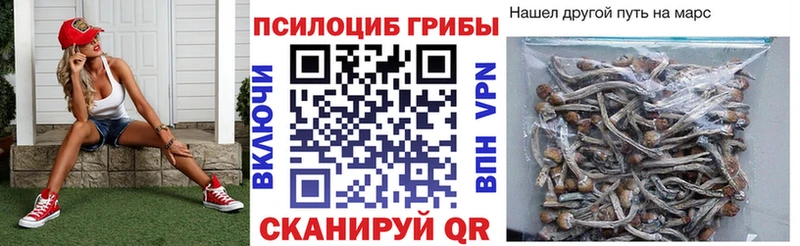Галлюциногенные грибы прущие грибы  Богородицк 