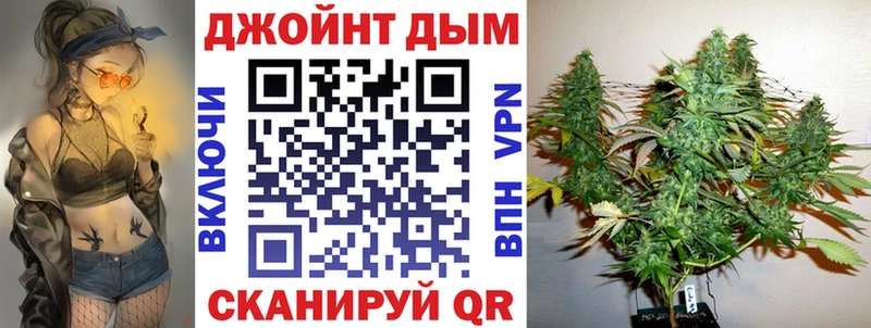 Каннабис сатива Богородицк